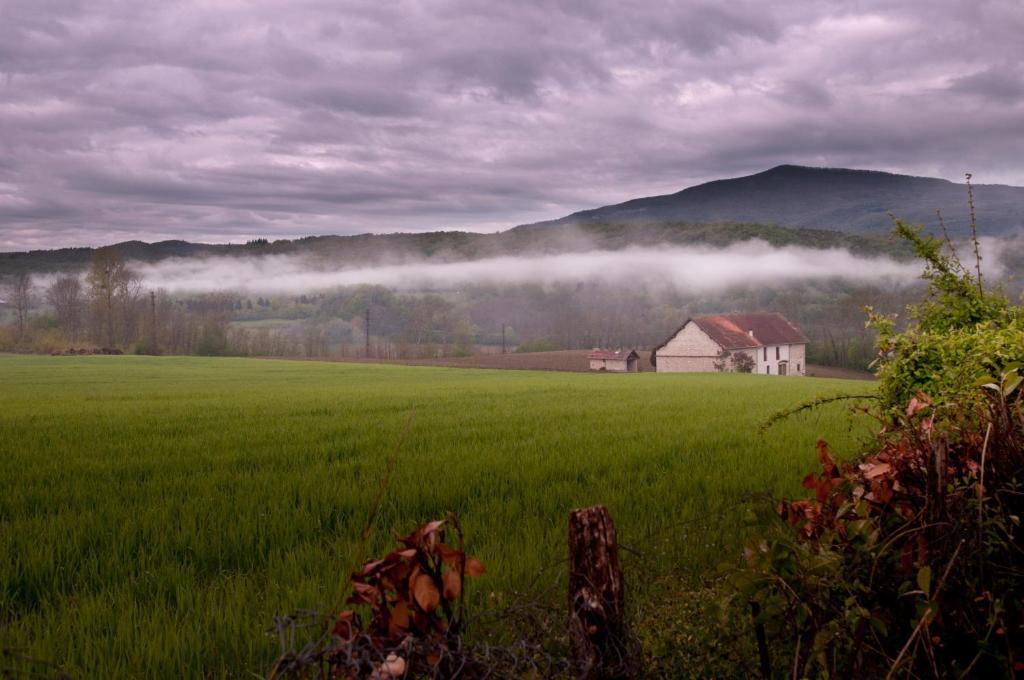 Chambres D'Hotes La Prairie Belley Zewnętrze zdjęcie